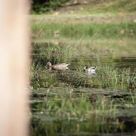Chata Happiness Gedinne