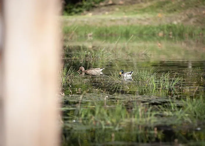 Lodge Happiness Gedinne