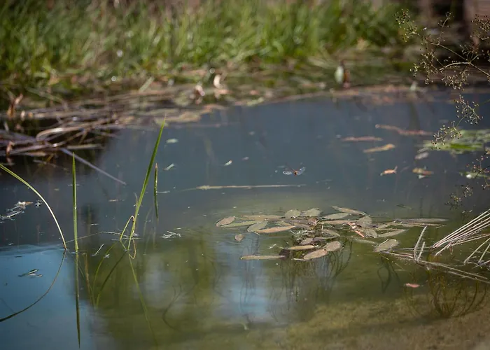 Lodge Happiness Gedinne